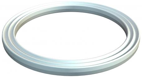 Connection thread sealing ring, PG 16.5 | 12.1 | 1.6