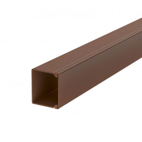 Trunking, type WDK 30030 2000 | 30 | 30 | Sepia brown; RAL 8014