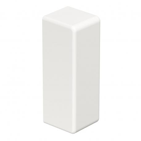 End piece, trunking type WDK 10030 32 | 11 | 30 | Pure white; RAL 9010