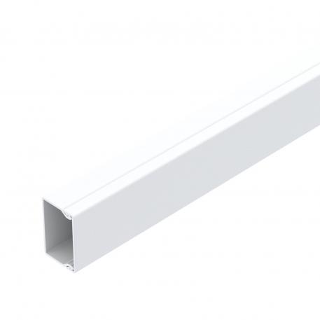 Trunking, type WDK 25040 2000 | 40 | 25 | Pure white; RAL 9010